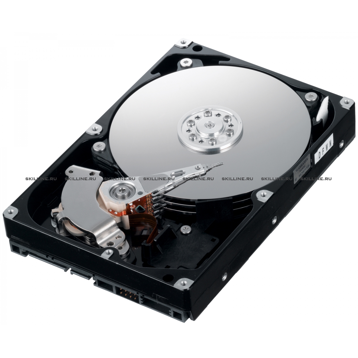750GB 7200 RPM Sata II Ev-ddm DS4200-